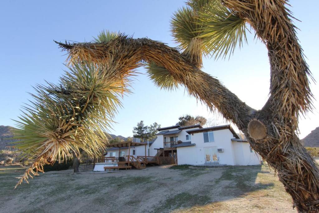 Villa Joshua Tree'S Highland Hideaway Compound Esterno foto